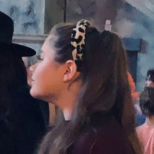 Meet your Posher, Windsor